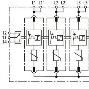 10530348_29463618.jpg