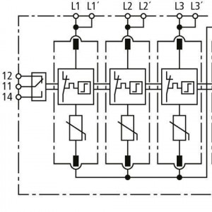 10530348_29463664.jpg