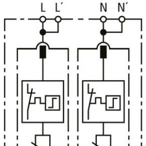 10530348_29463707.jpg