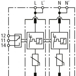 10530348_29463720.jpg