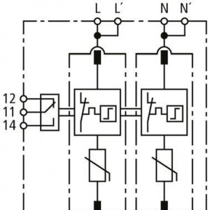 10530348_29463720.jpg