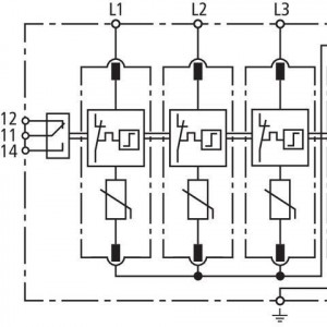 10530348_29464020.jpg
