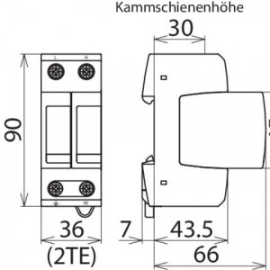 10530348_29464074.jpg