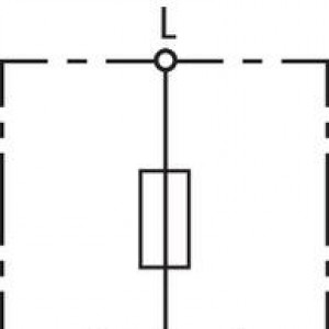 10445931_29184340.jpg