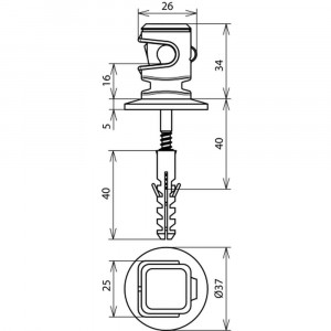 4695180_11739147.jpg