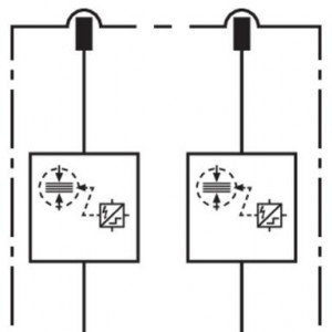 10537561_29486447.jpg