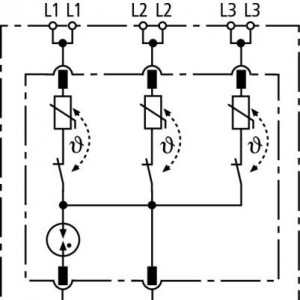 10457116_29221166.jpg