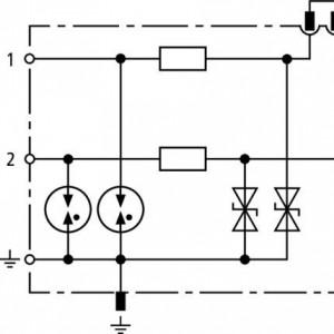 10380024_28979964.jpg