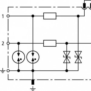 10380024_28979964.jpg