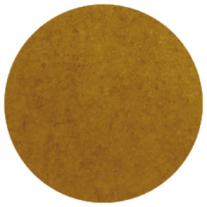 10578472_29602078.jpg