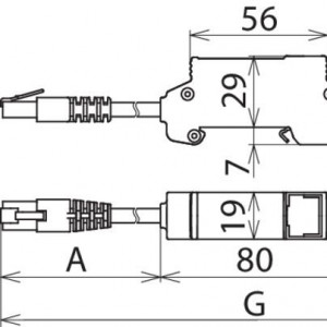 10345008_28868327.jpg