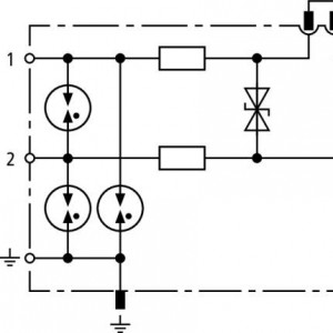 10343497_28863659.jpg