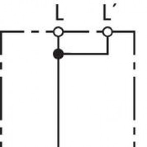 10487006_29296839.jpg
