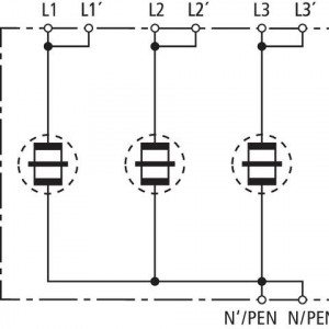 10487006_29296852.jpg