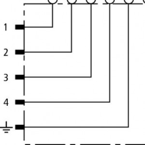 10103738_28054012.jpg