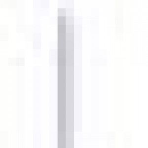 10108780_28071942.jpg