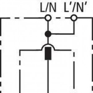 10449990_29195211.jpg