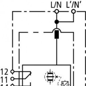 10449990_29195254.jpg