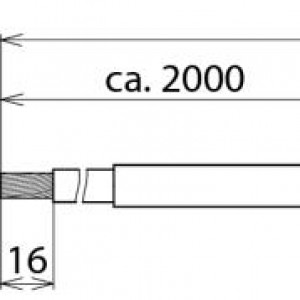 10102429_28050588.jpg