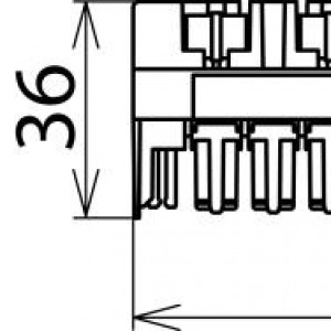 10103981_28055032.jpg