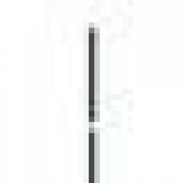 10110774_28079808.jpg