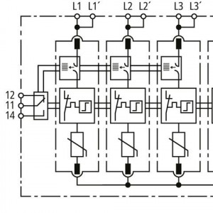 10577083_29595873.jpg