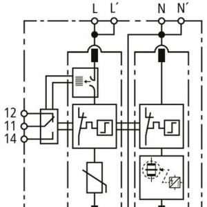 10577083_29595922.jpg