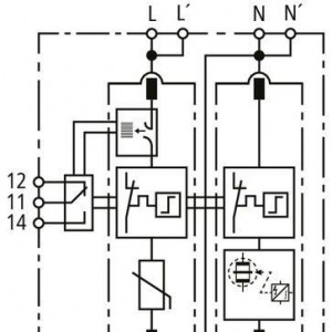 10577083_29595922.jpg