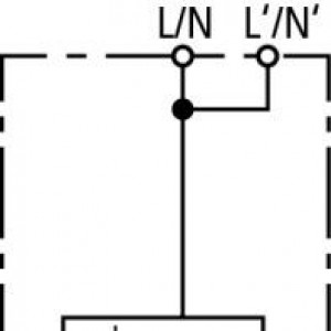 10100876_28044485.jpg