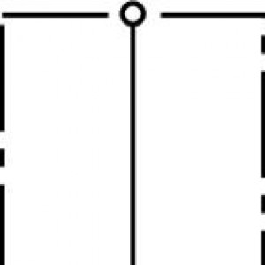 10102130_28048726.jpg