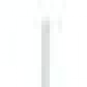 10370425_28937452.jpg