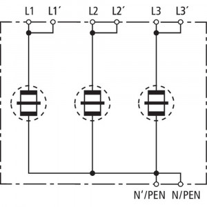 4690605_11725263.jpg