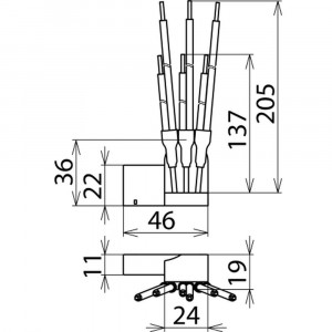 4691784_11728886.jpg