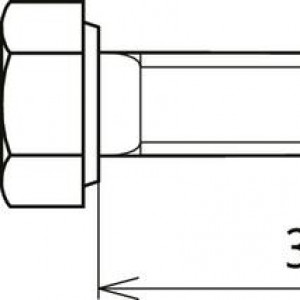 10578438_29602052.jpg